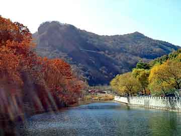 新澳门二四六天天彩，黄叶村